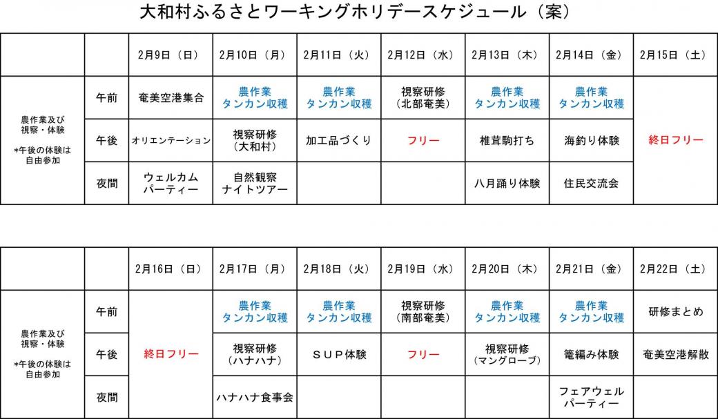 ワーホリスケジュール