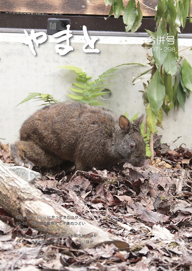 広報やまと合併号（No. 297-298）