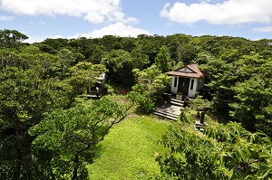 湯湾岳山頂付近