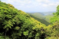 マテリヤの滝へ行く途中に見られる風景