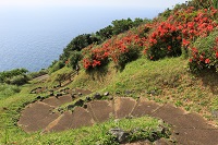 嶺山公園のぐねぐね階段