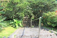 嶺山公園の正面階段