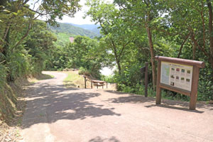 宮古崎の遊歩道