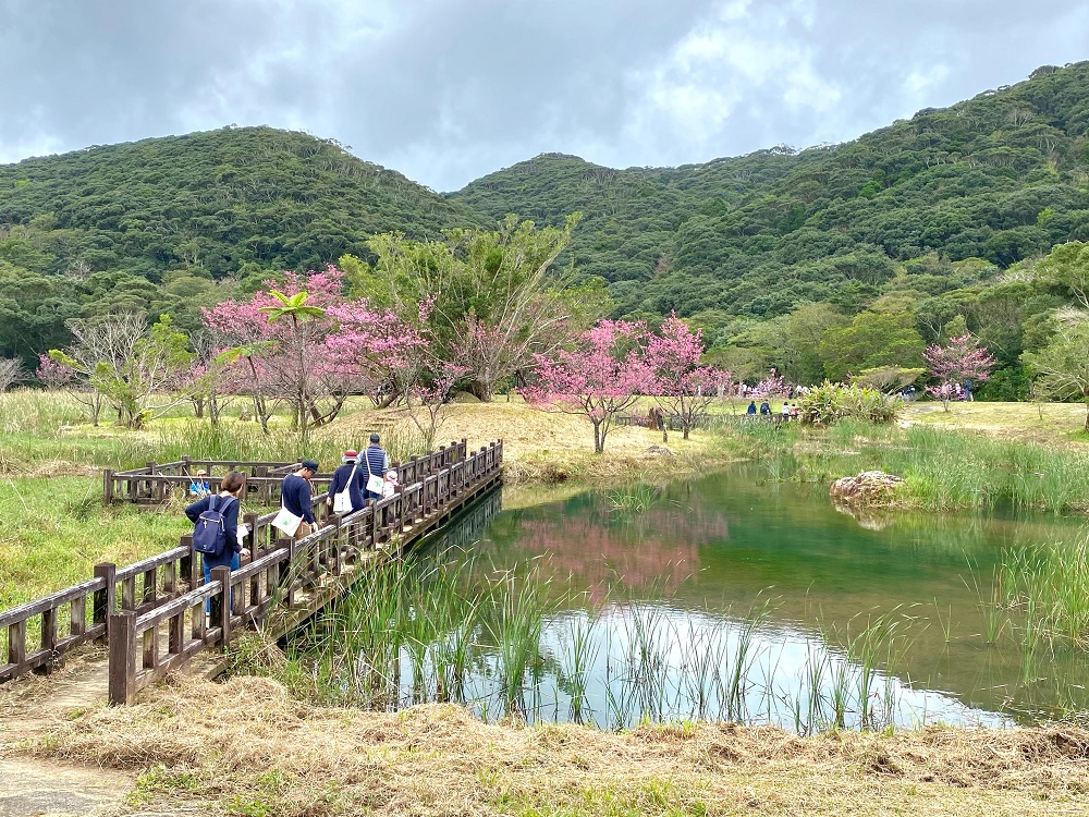 水辺の広場2