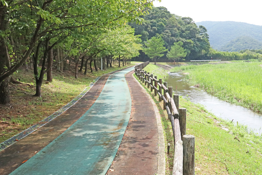 水と森公園3