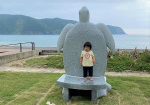 うみがめ公園のうみがめ