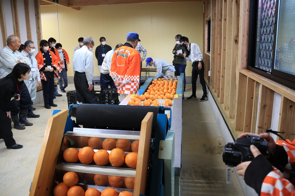 農産園芸施設の様子