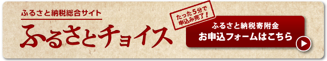 ふるさと納税総合サイトふるさとチョイスたった5分で申し込み完了！ふるさと納税寄附金お申込フォームはこちら