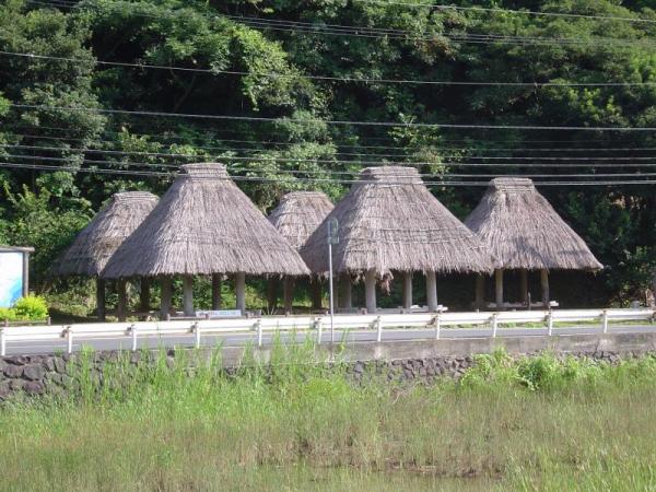 大和浜のぼれぐら