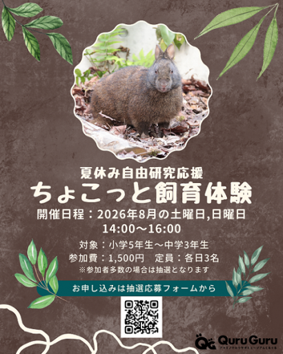 ちょこっと飼育体験