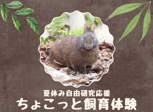 ちょこっと飼育体験サムネイル