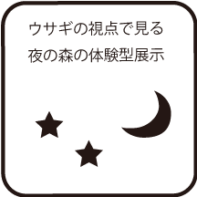 ウサギ視点で見る夜の森の体験型展示