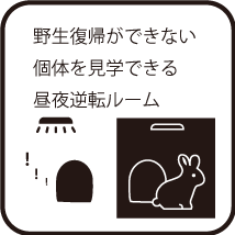 野生復帰ができない個体を見学できる昼夜逆転ルーム