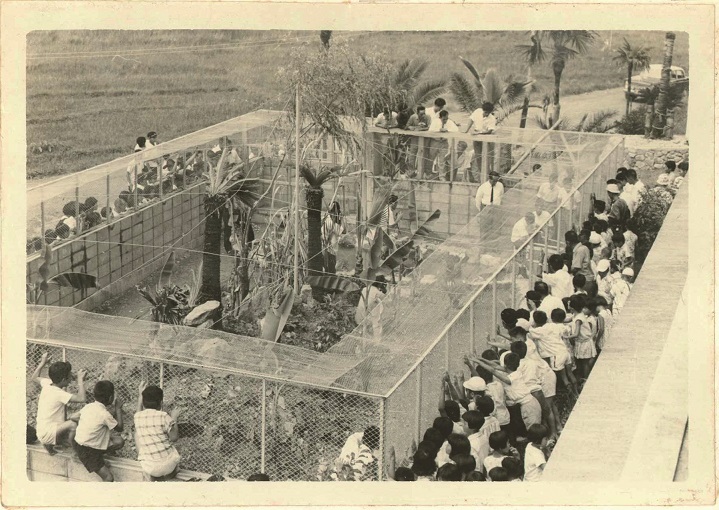 飼育小屋写真