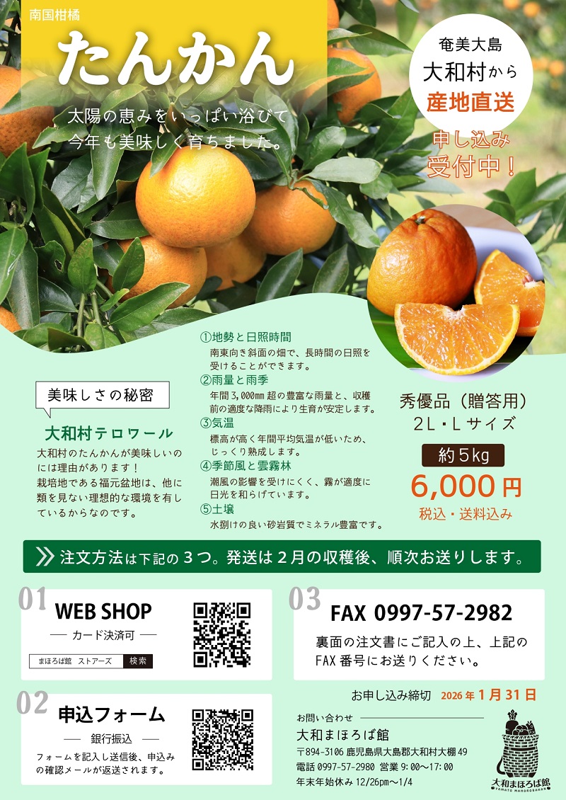 値下げ　年末大掃除特価　12月20日まで出品　はっけんずかん　図鑑　6冊セット 値下げ 年末大掃除特価 12月20日まで出品 はっけんずかん 図鑑 6冊