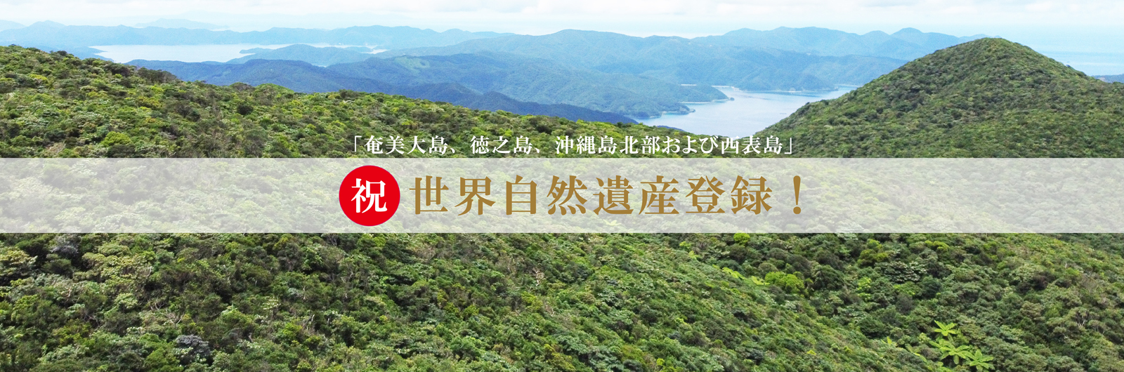 「奄美大島、徳之島、沖縄島北部および西表島」祝 世界自然遺産登録！