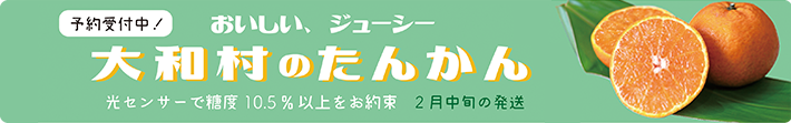 大和村・ガラリ種のすもも予約販売開始　予約販売は2023年5月31日まで
